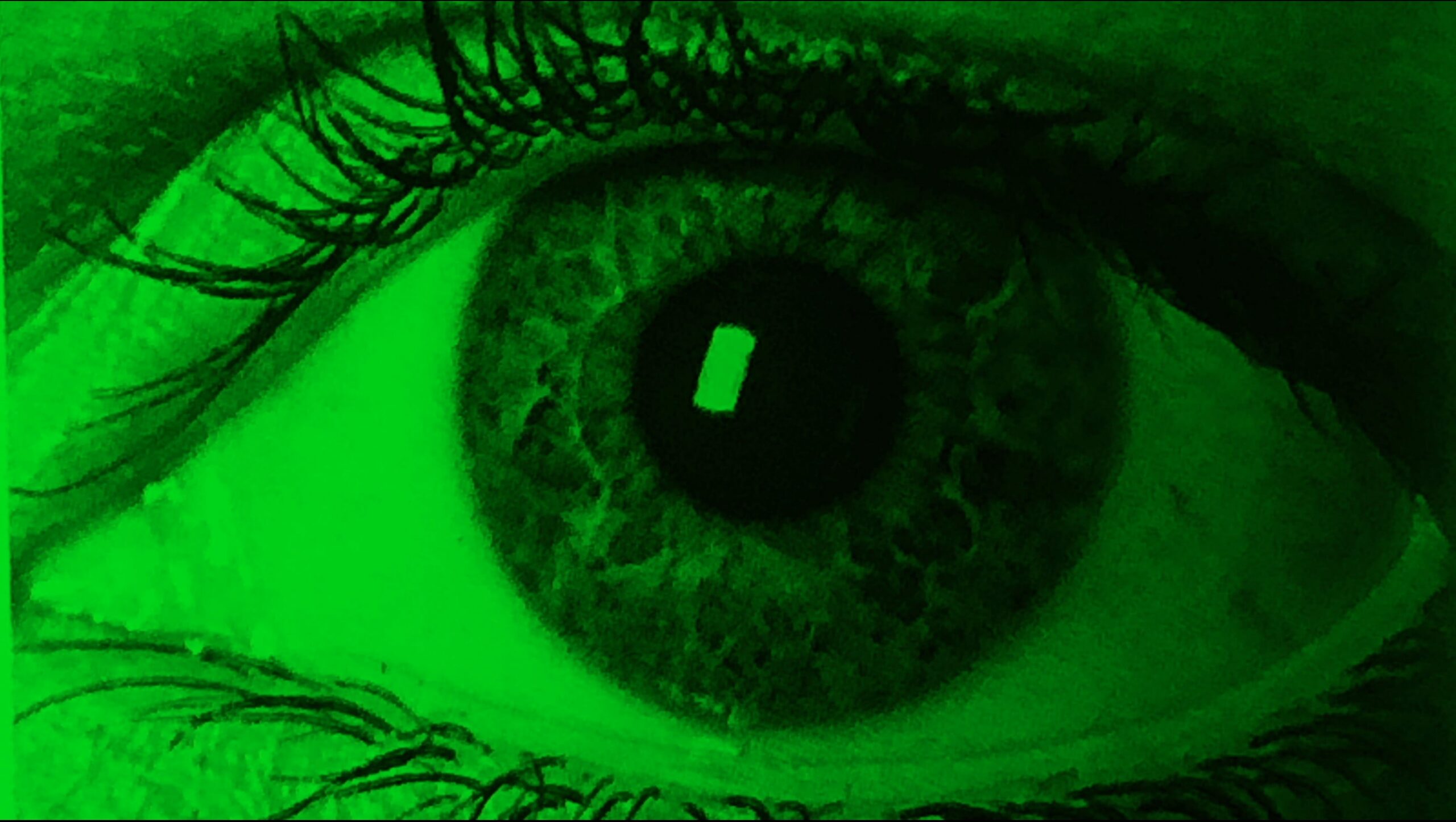 Leaders of the Blind  – Green Lung